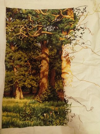 Дубовая роща №176900