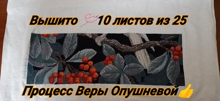 Катюшкины 🐾 крестики в процессе 👌 №177089