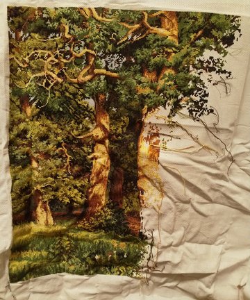 Дубовая роща №177138