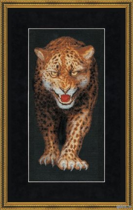 Помогите найти леопарда №178060