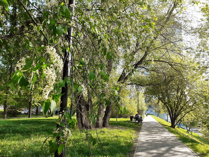 Наши дворики, улицы, любимые места - там, где мы живём ))) №178874