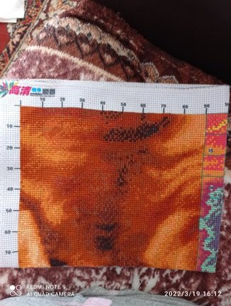 Мой новый процесс №179185