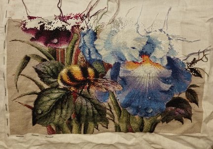 Ирисы и шмель №179744