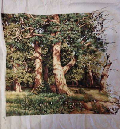 Дубовая роща №180500