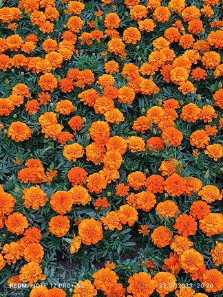 Наши дворики, улицы, любимые места - там, где мы живём ))) №180871