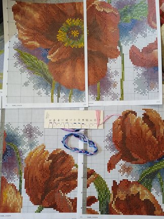 Маки перенабора Доме №181079