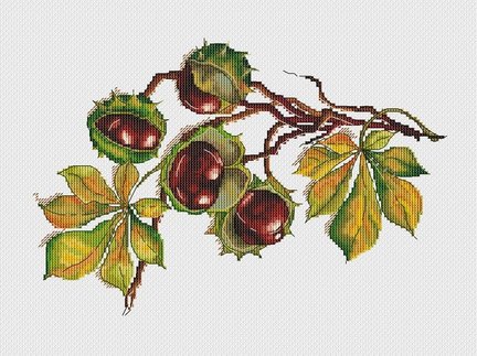 Лесная гостя и её сакровищя №181217