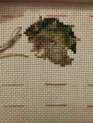 Лесная гостя и её сакровищя №181249