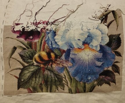 Ирисы и шмель №181339