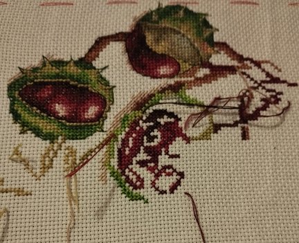 Лесная гостя и её сакровищя №181344