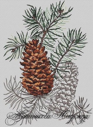 Лесная гостя и её сакровищя №181481