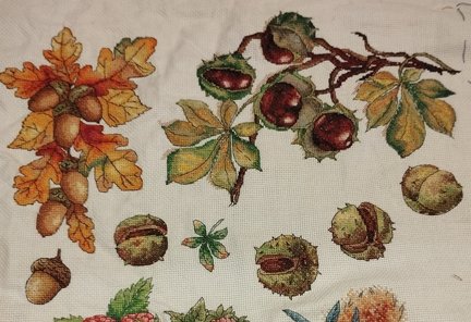 Лесная гостя и её сакровищя №181539