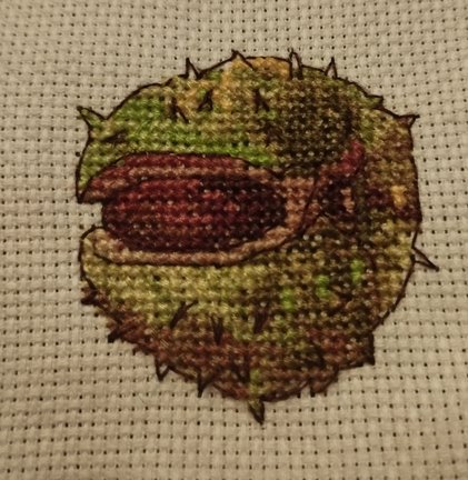 Лесная гостя и её сакровищя №181541