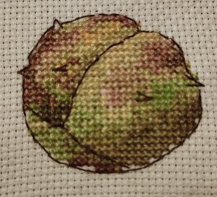 Лесная гостя и её сакровищя №181543