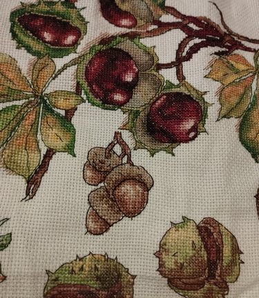 Лесная гостя и её сакровищя №181555