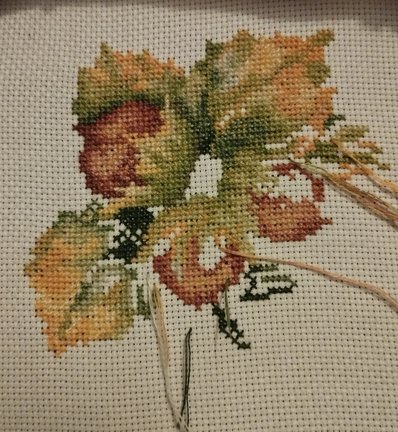 Лесная гостя и её сакровищя №181823