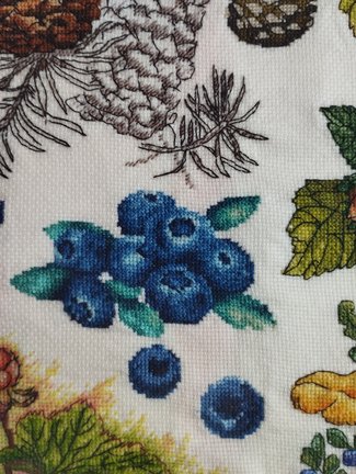 Лесная гостя и её сакровищя №181880