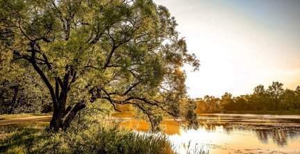 Наши дворики, улицы, любимые места - там, где мы живём ))) №182094