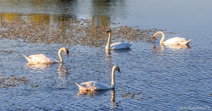 Наши дворики, улицы, любимые места - там, где мы живём ))) №182095