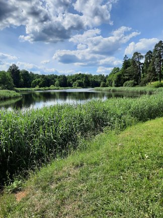 Наши дворики, улицы, любимые места - там, где мы живём ))) №182100