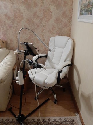 Химера «Леди в красном» и не только №182553