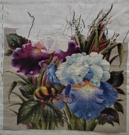 Ирисы и шмель №182806