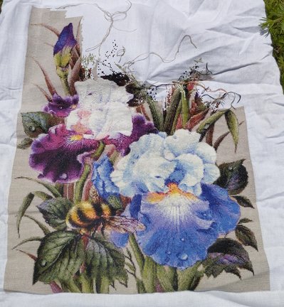 Ирисы и шмель №182933