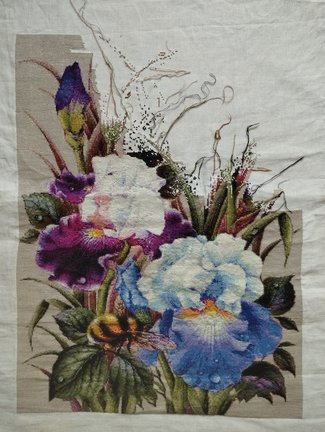 Ирисы и шмель №182949