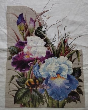 Ирисы и шмель №183001