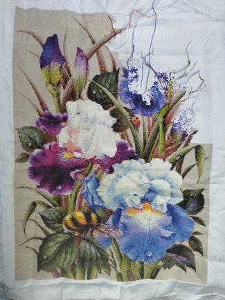 Ирисы и шмель №183264