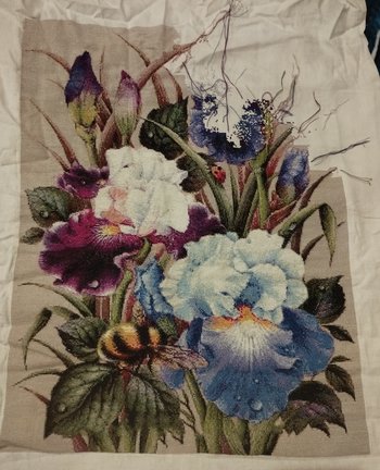 Ирисы и шмель №183288