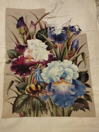 Ирисы и шмель №183357