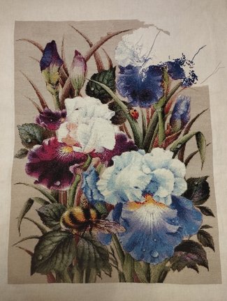 Ирисы и шмель №183373