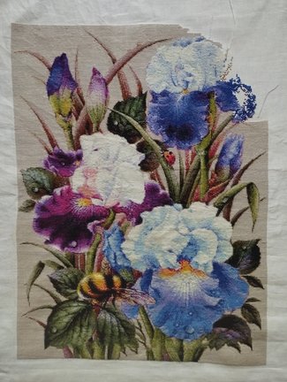 Ирисы и шмель №183417