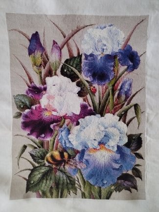 Ирисы и шмель №183473