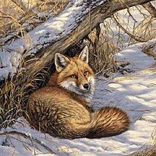 Схема вышивки «Лиса»