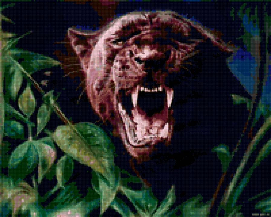 Пантера - природа, животные, пантера - предпросмотр