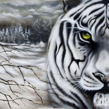 Схема вышивки «Тигр»