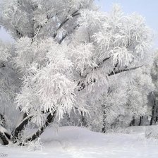 Схема вышивки «зима»