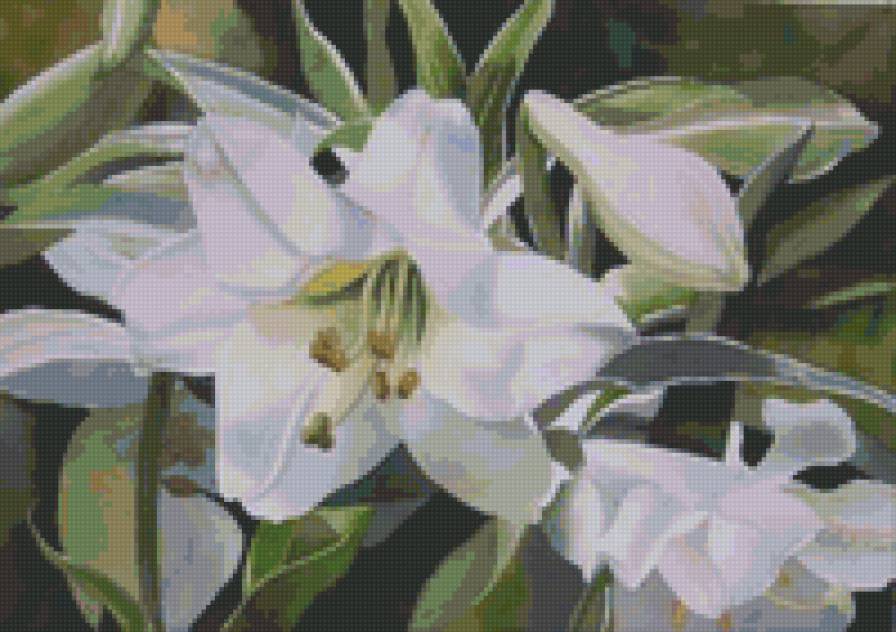 №142 - предпросмотр