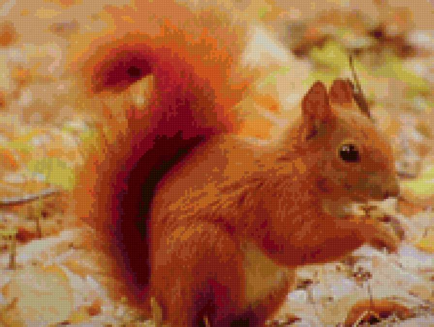 белочка - природа, животные - предпросмотр