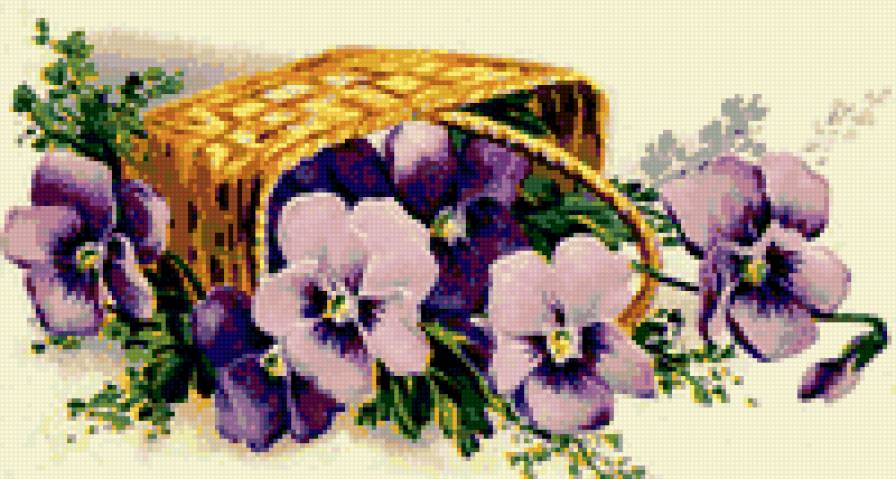 Анютины глазки - букет, анютины глазки, красота, виола, ретро, цветы, анютки - предпросмотр