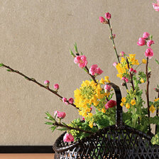 Схема вышивки «№416»