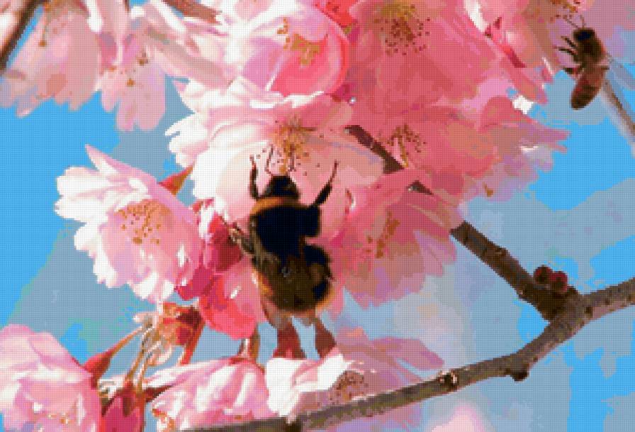 №428 - цветы - предпросмотр