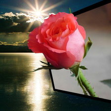 Схема вышивки «роза»