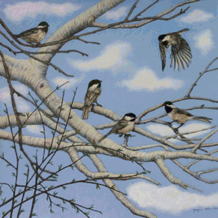 Скоро весна - птицы, воробьи, весна - предпросмотр