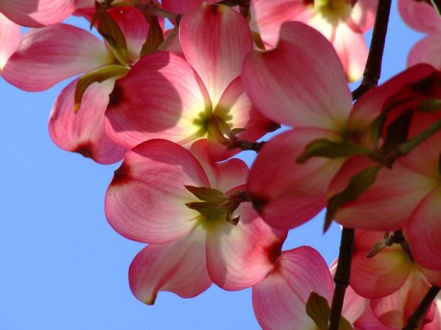 №547 - оригинал