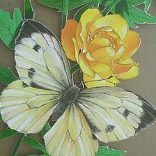 Схема вышивки «Бабочка и лютик»