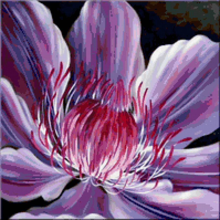 Клематис - клематис, подушки, цветок, подушка, красота - предпросмотр