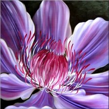 Схема вышивки «Клематис»